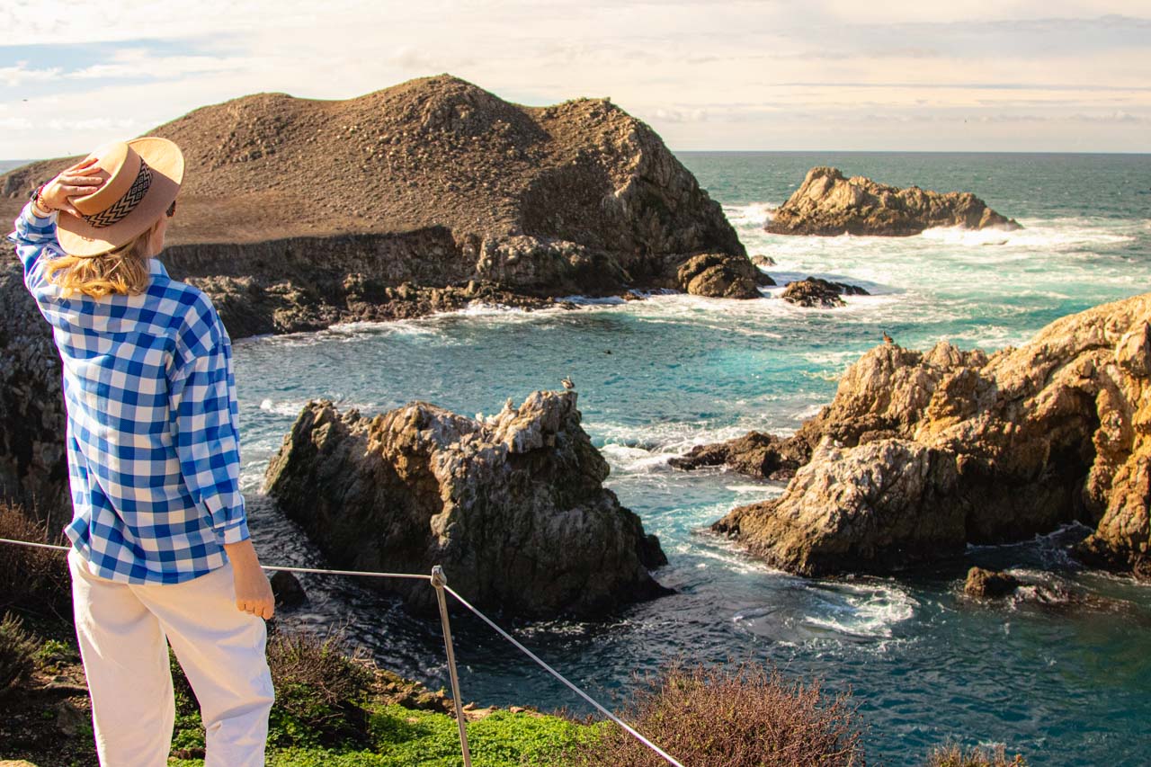 Point Lobos State Natural Reserve, California