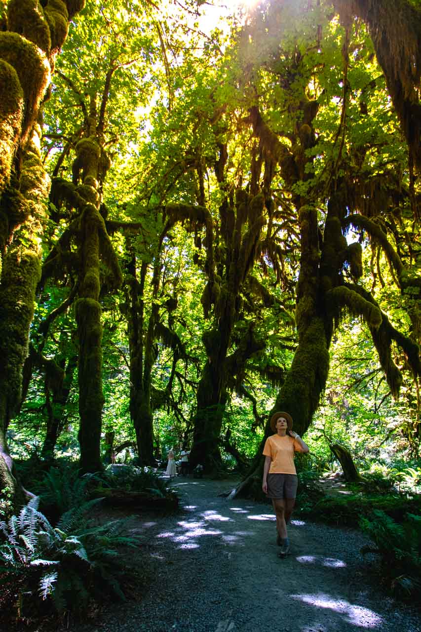 Olympic National Park, Washington