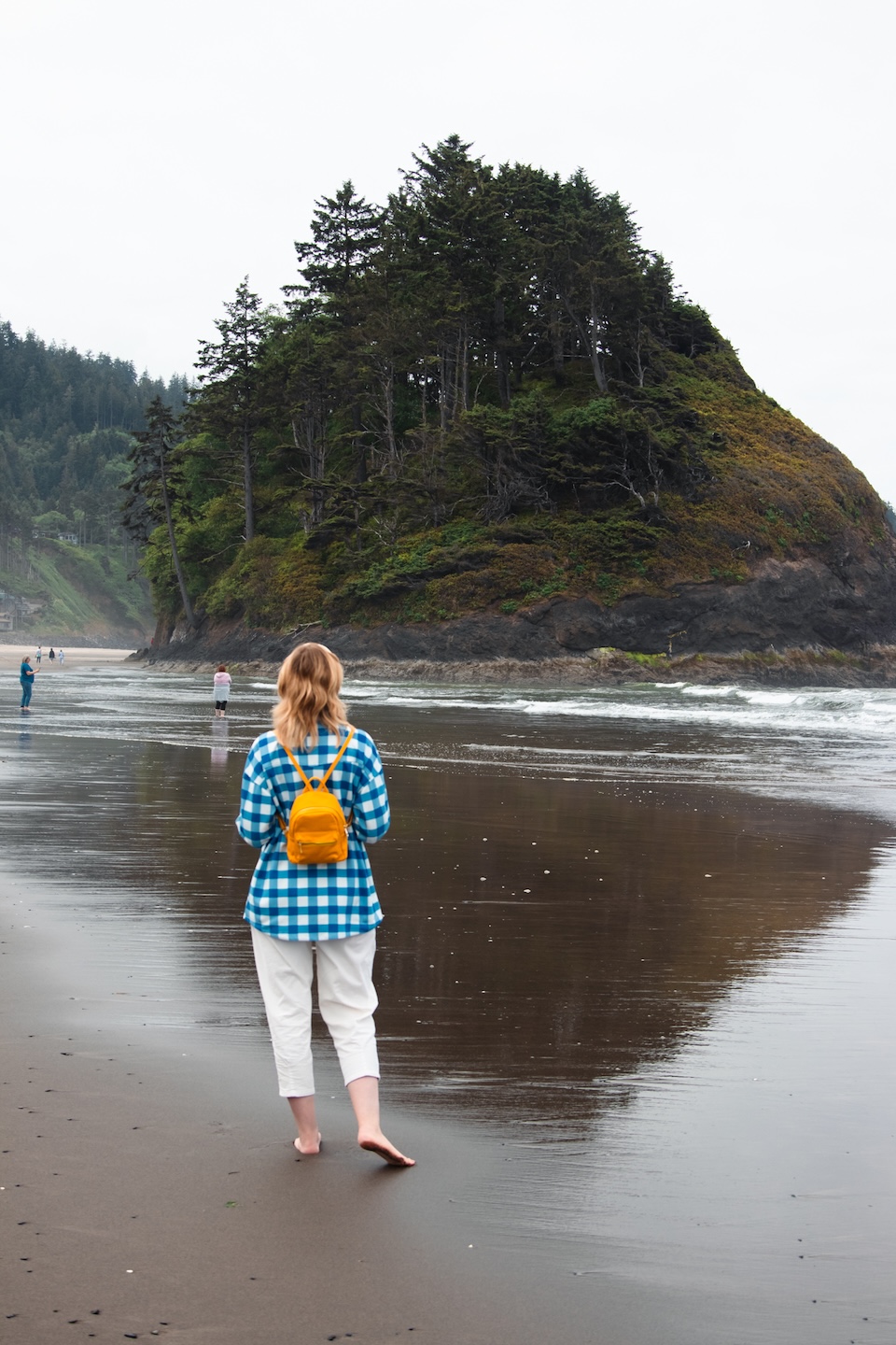 Neskowin Beach, Oregon