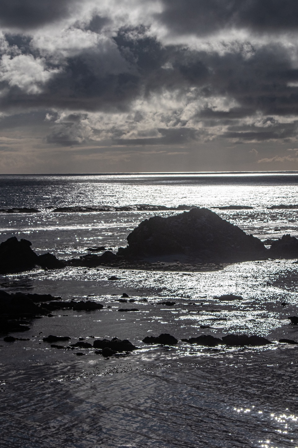 Cape Arago State Park, Oregon