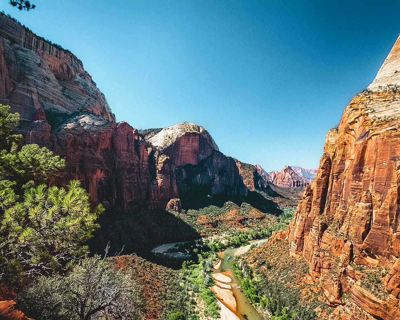 The Angels Landing trail offers some of the most stunning views in Zion National Park