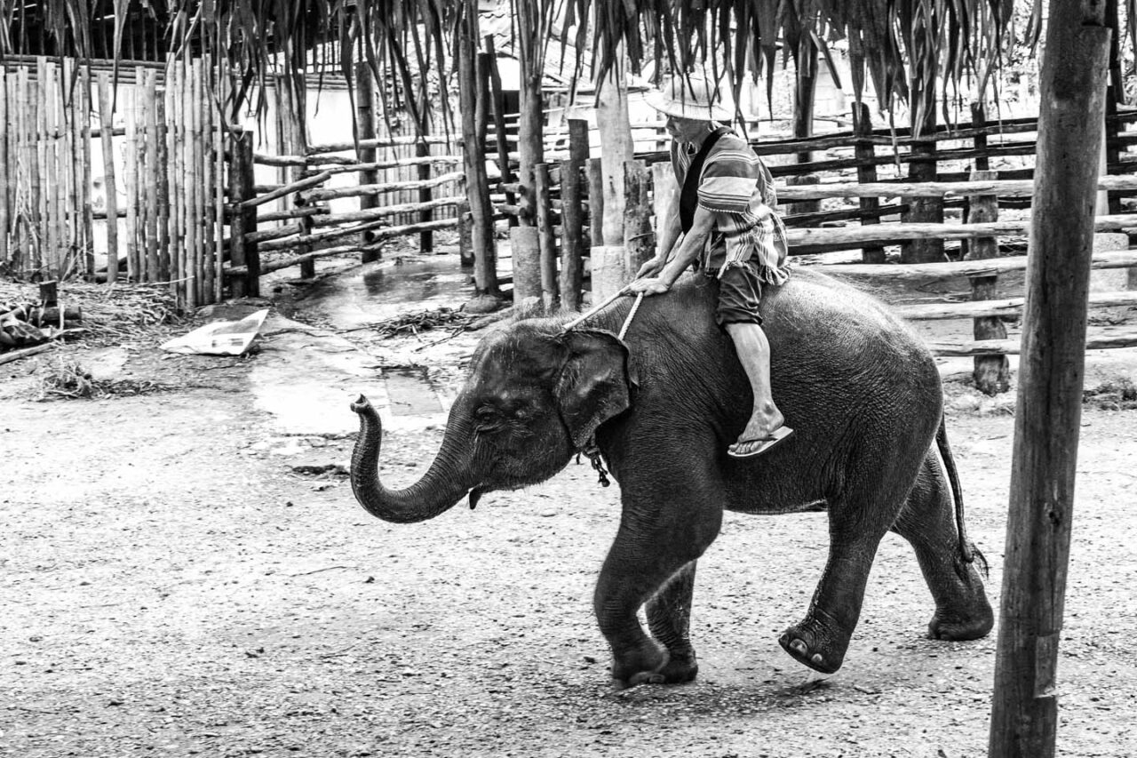 A black and white photo, but the truth isn’t so black and white. What we need is more awareness - not judgment