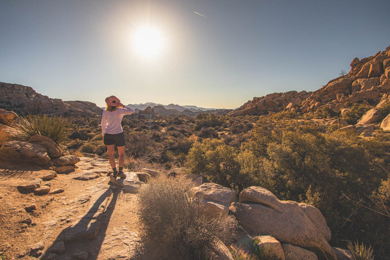 best time to visit Joshua Tree