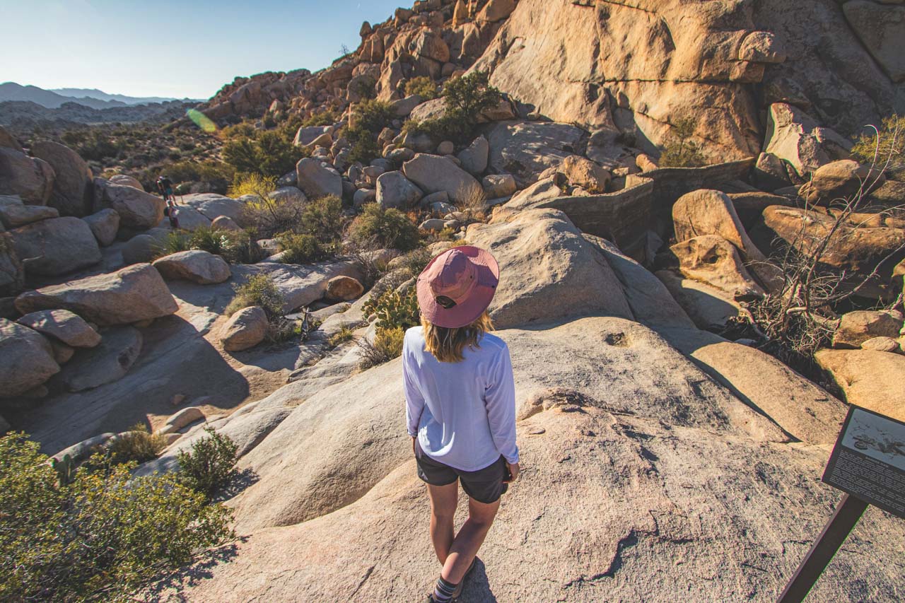 Joshua Tree National Park Hikes