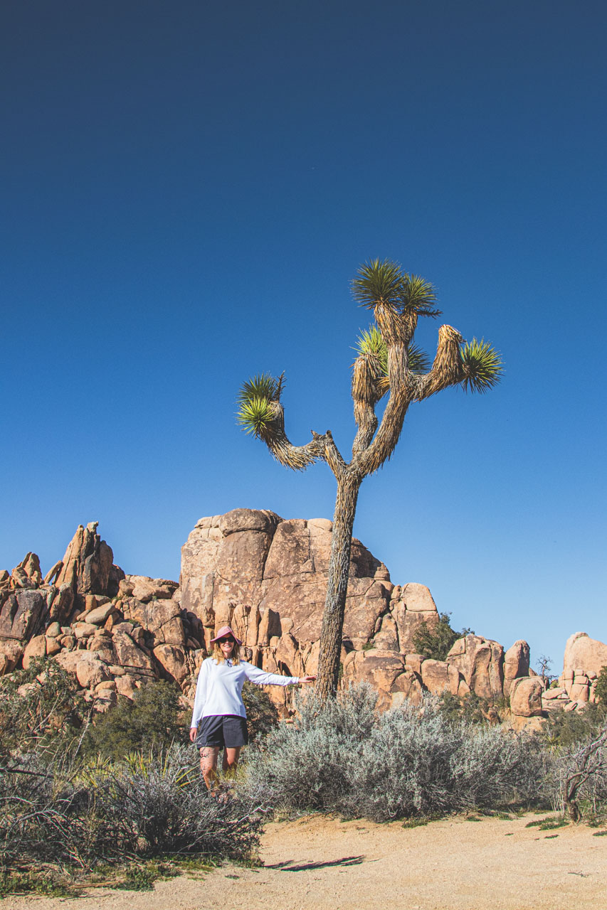 Joshua Tree National Park hikes