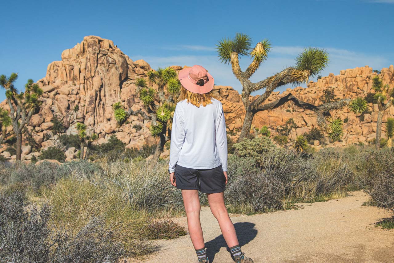 Joshua Tree National Park Hikes