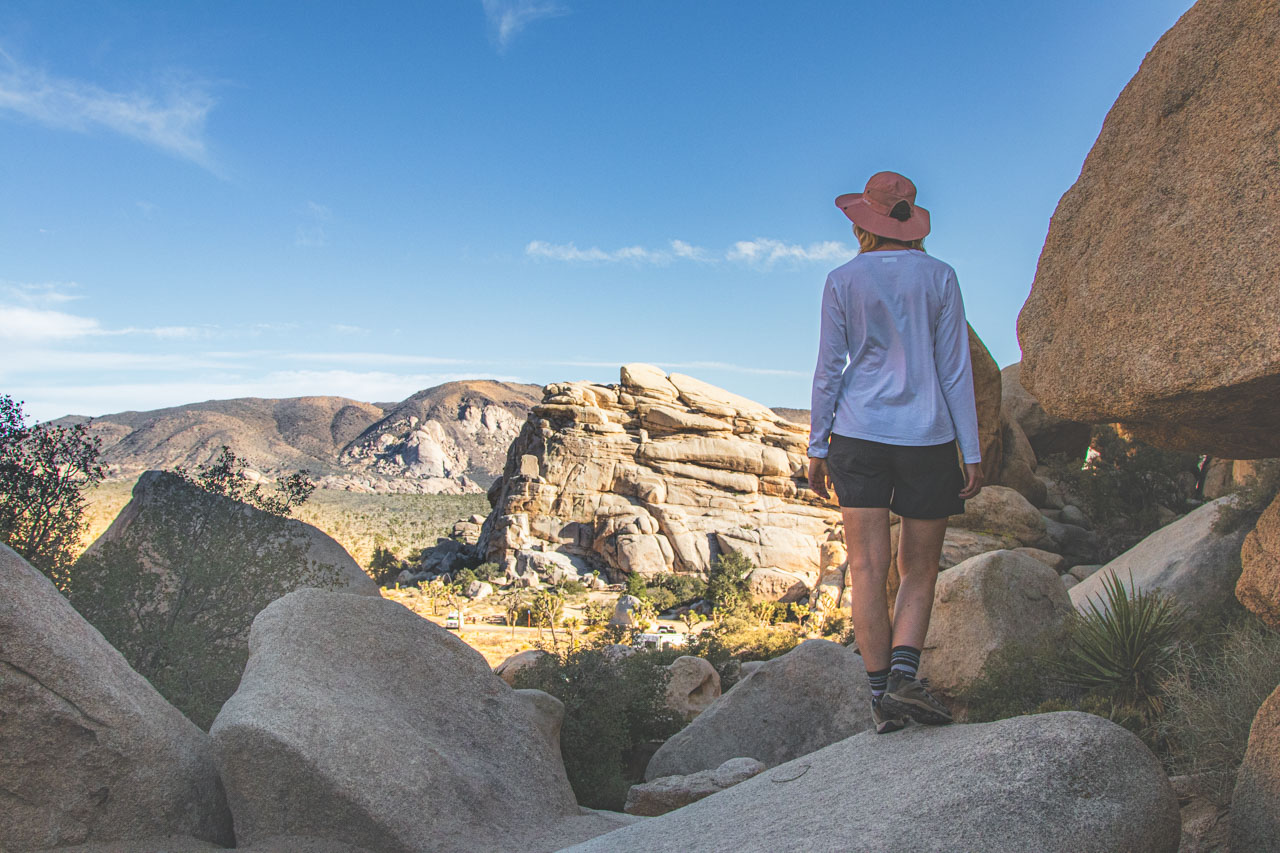 how to get to Joshua Tree