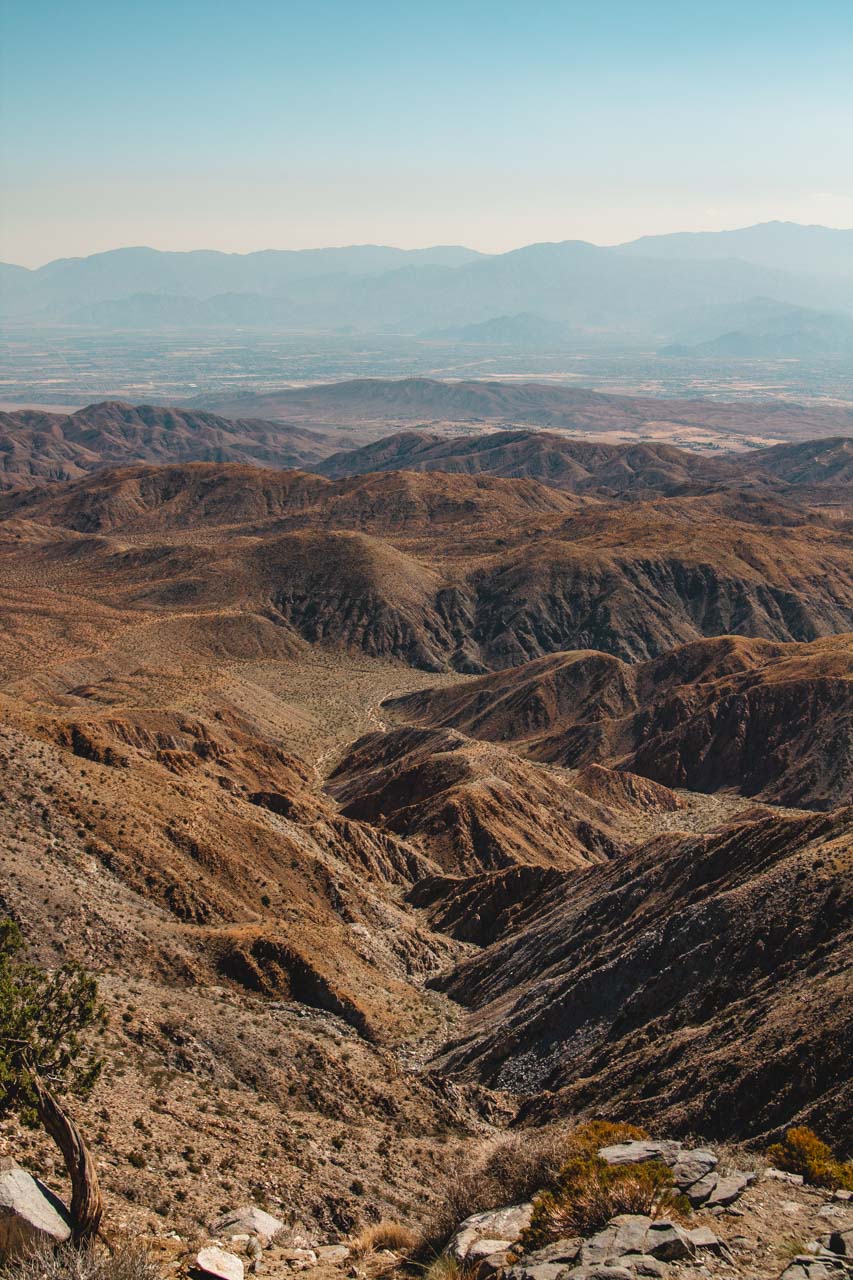 Joshua Tree National Park Hikes