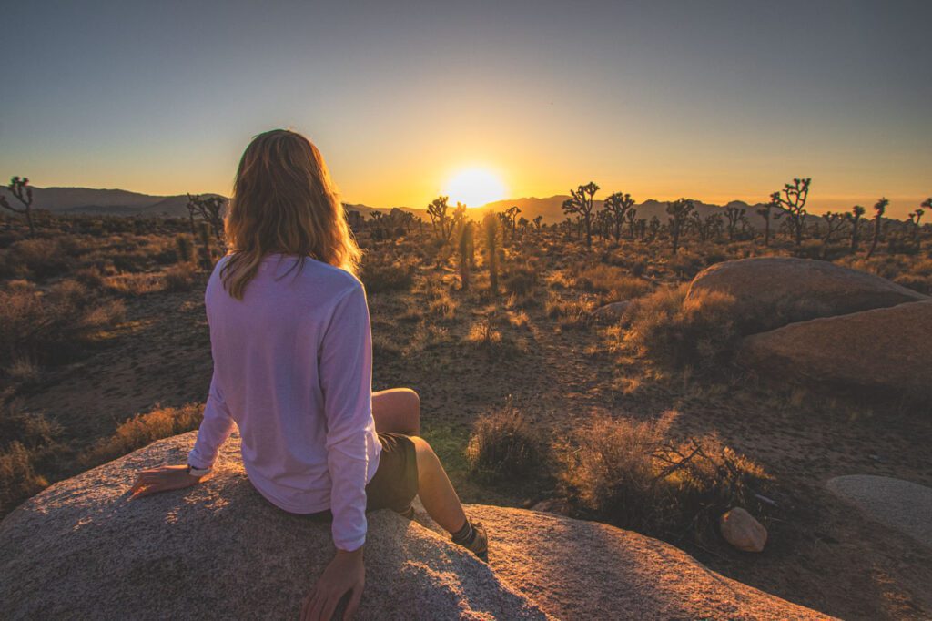 Joshua Tree National Park tickets