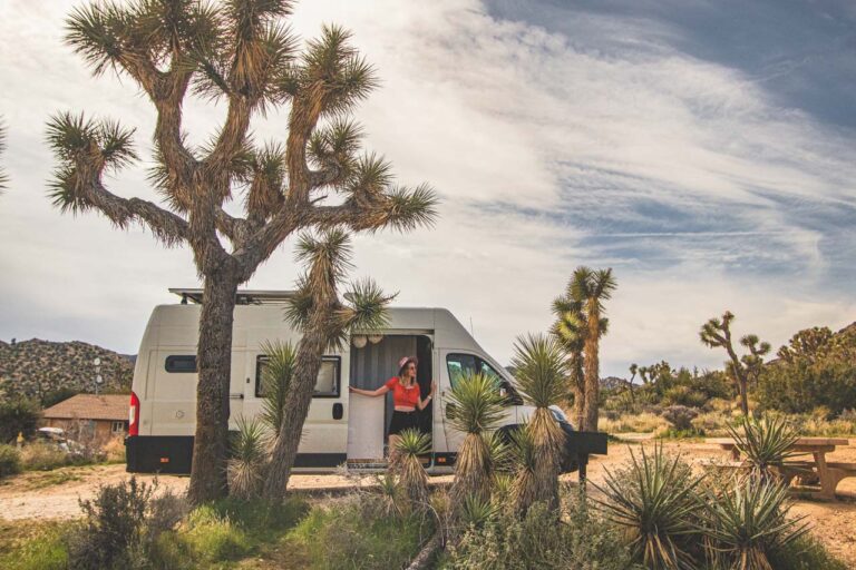 joshua-tree-national-park-hikes