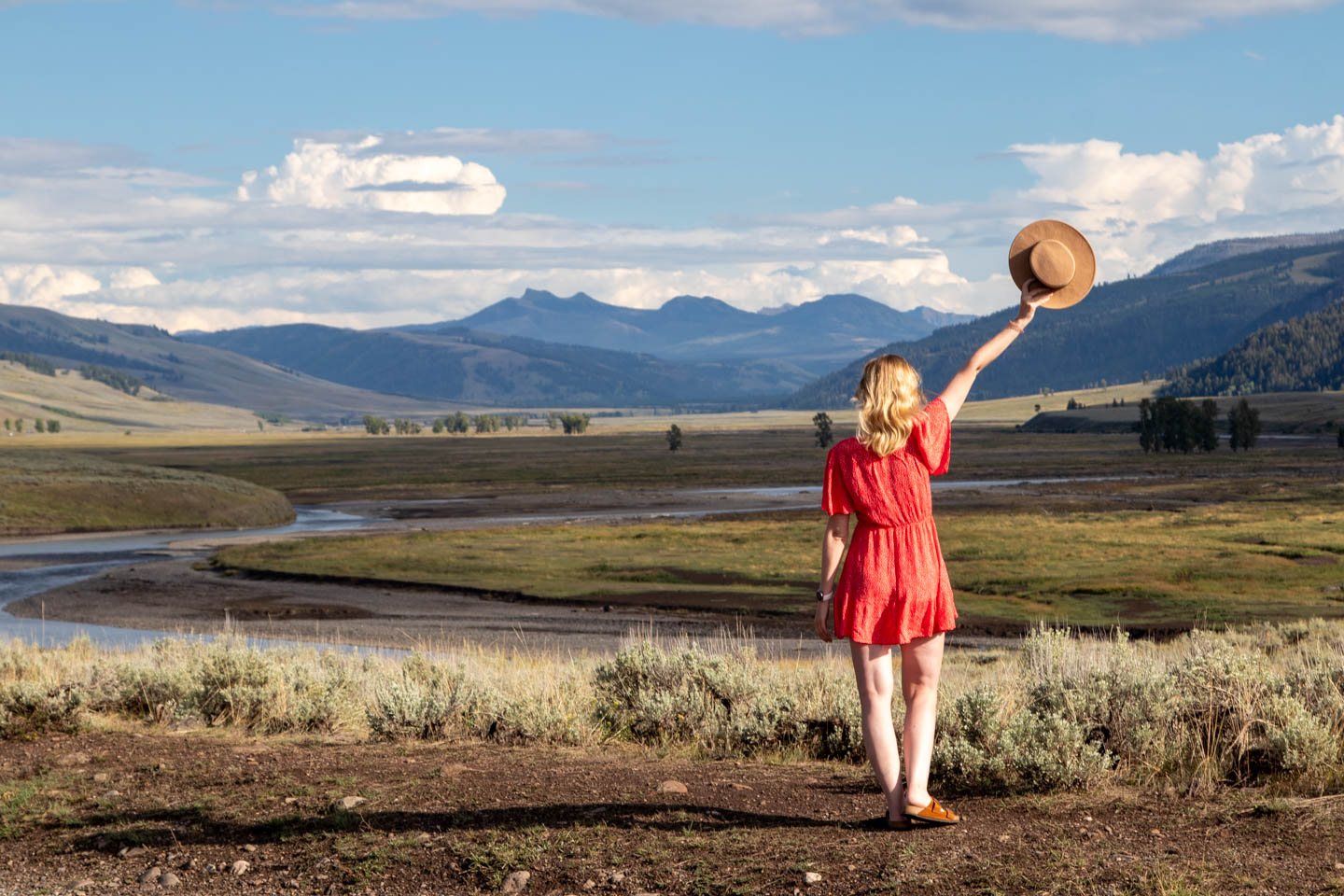 2. Lamar Valley - największy zachwyt kotów i mój najlepszy moment w parku
