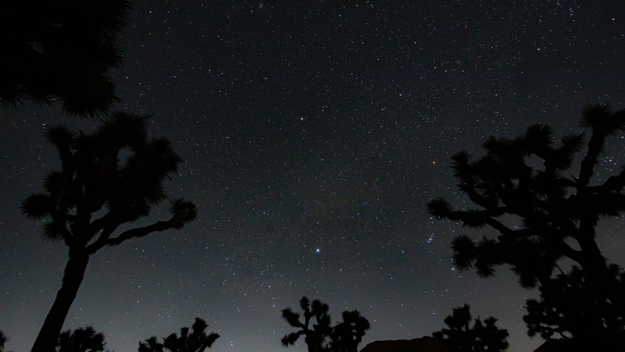 how many days in Joshua tree