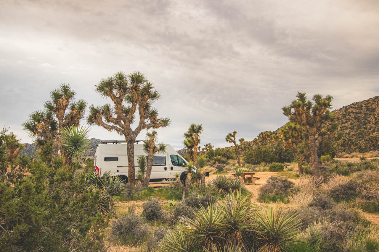 where to stay in Joshua Tree