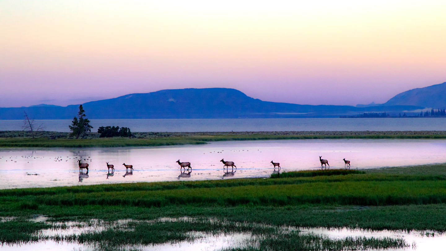 Best Things to Do in Yellowstone: My 2026 Travel Guide