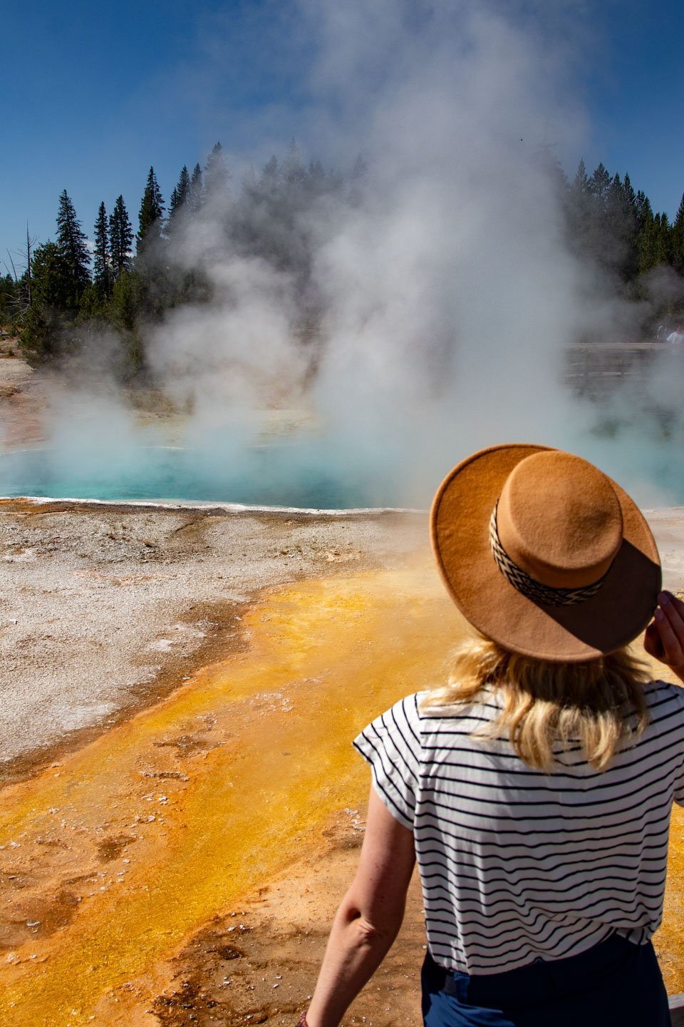 When to visit Yellowstone? Best time for your trip