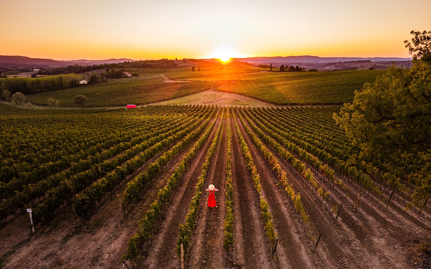 Lucca, Toskania, Włochy