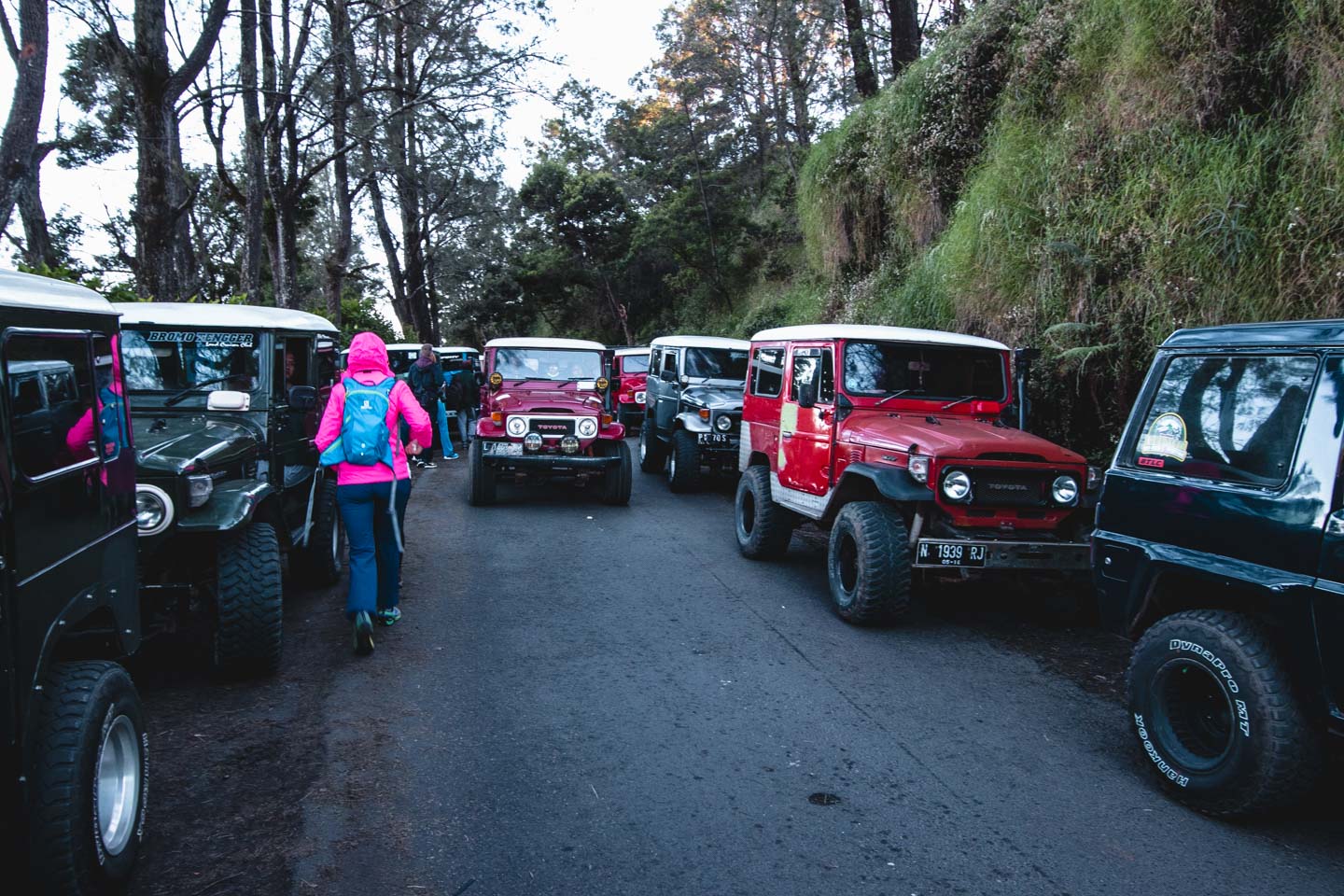 Mount Bromo, Indonesia