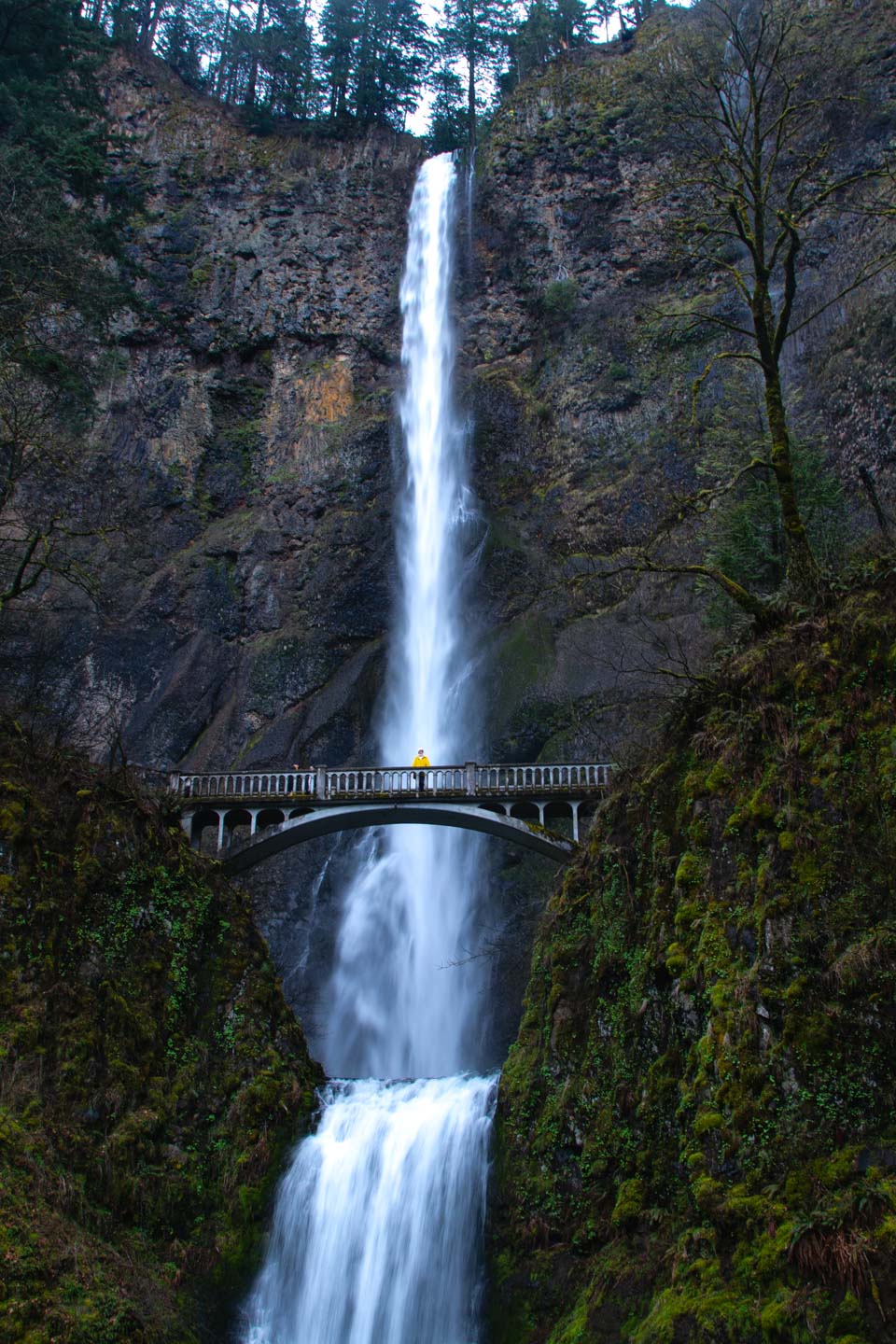 Pacific Northwest Travel Itinerary