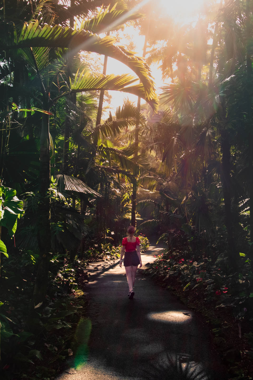 Hawai'i Tropical Botanical Garden