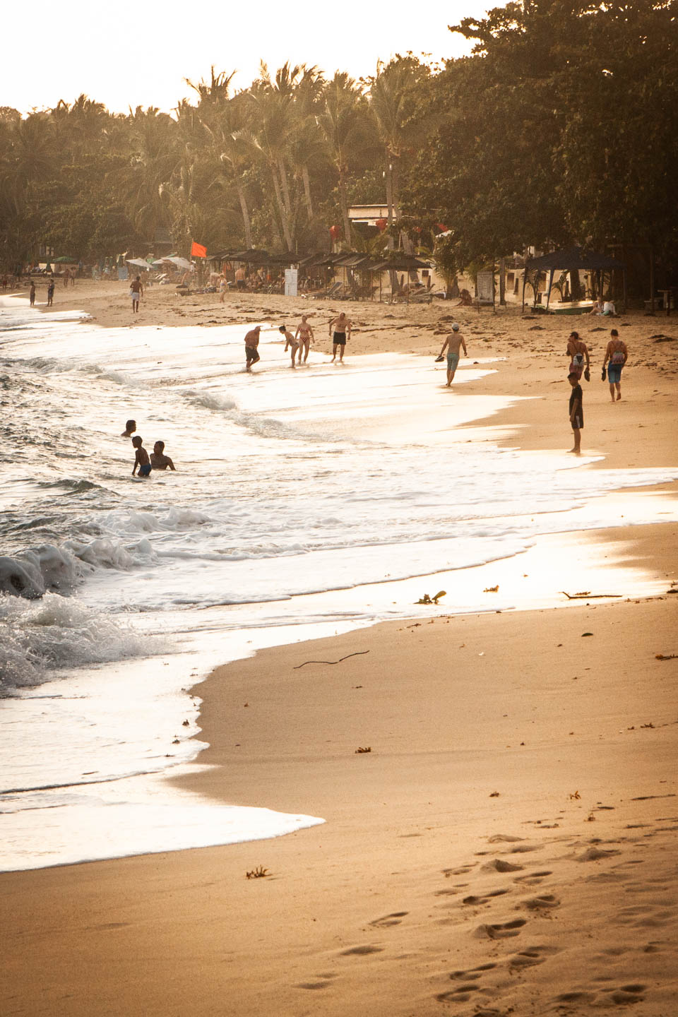 Plaża w Lamai na Koh Samui zachwyca miękkim piaskiem, palmami i spokojną atmosferą
