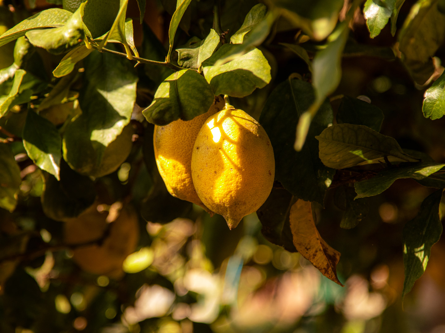 Agerola, Wybrzeże Amalfi