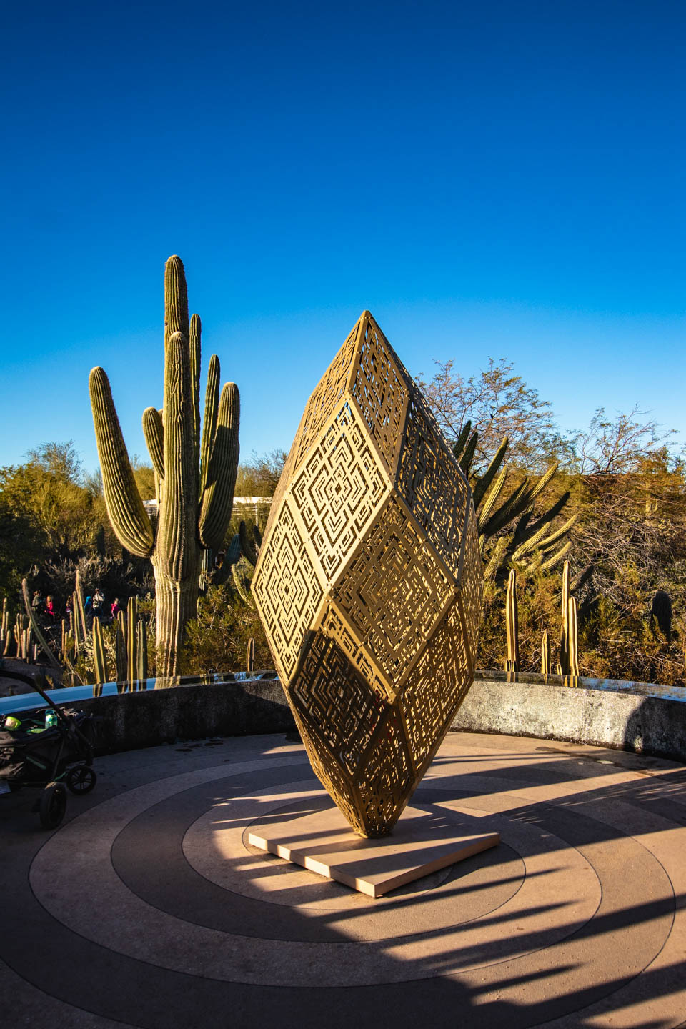 Desert Botanical Garden, Phoenix