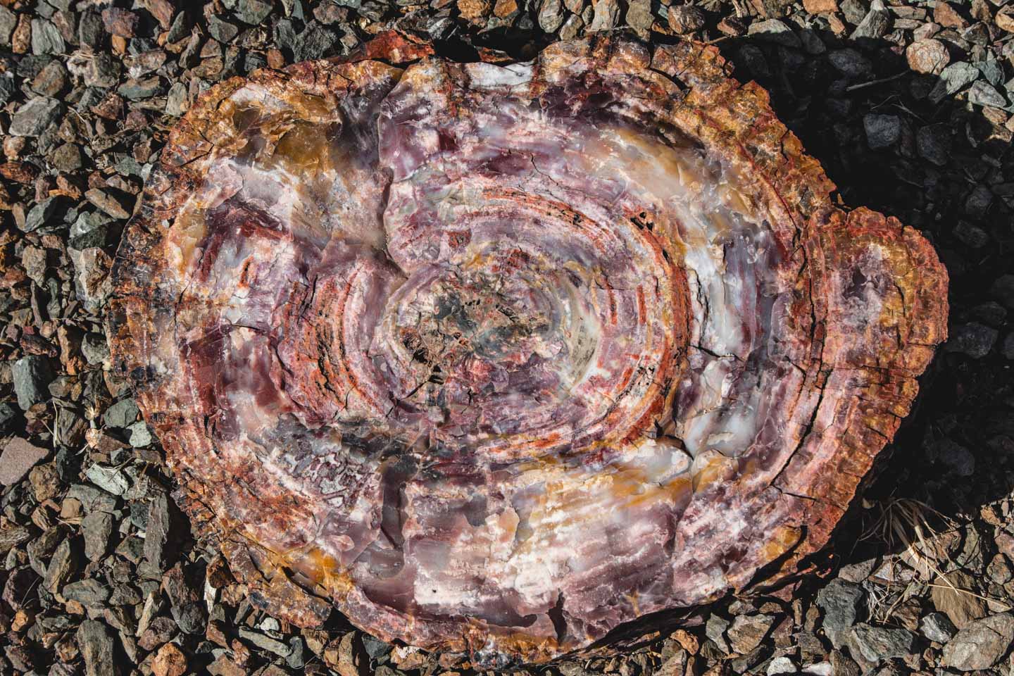 Petrified Forest National Park, Arizona