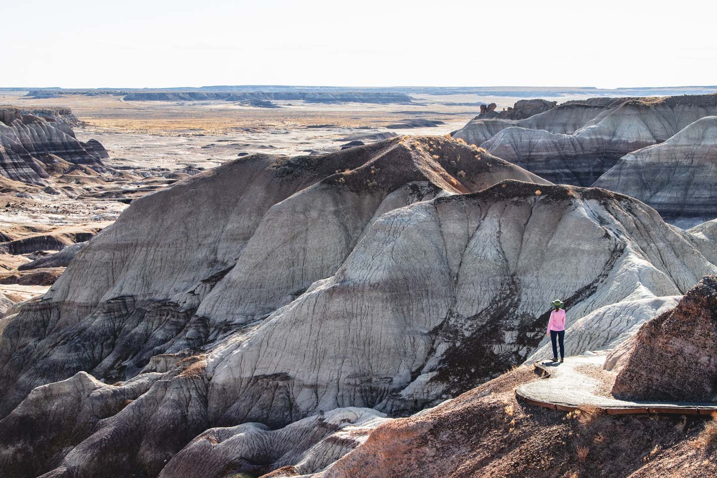 Petrified Forest National Park, Arizona