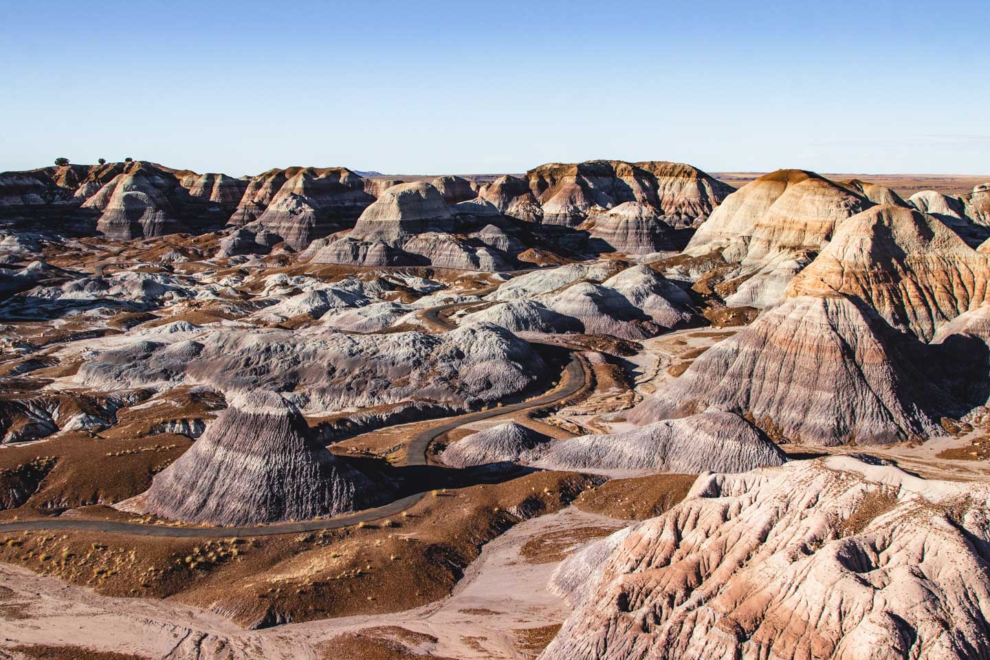 Petrified Forest National Park, Arizona