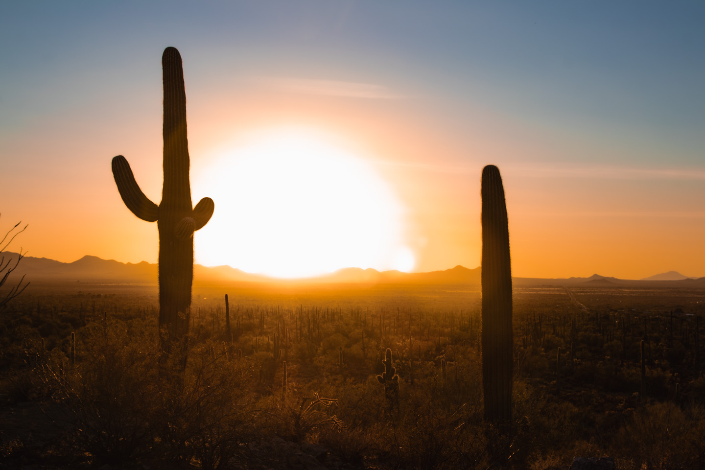 A 7-Day Arizona Road Trip Itinerary You'll Want to Steal 