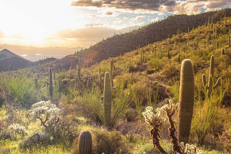 A 7-Day Arizona Road Trip Itinerary You’ll Want to Steal