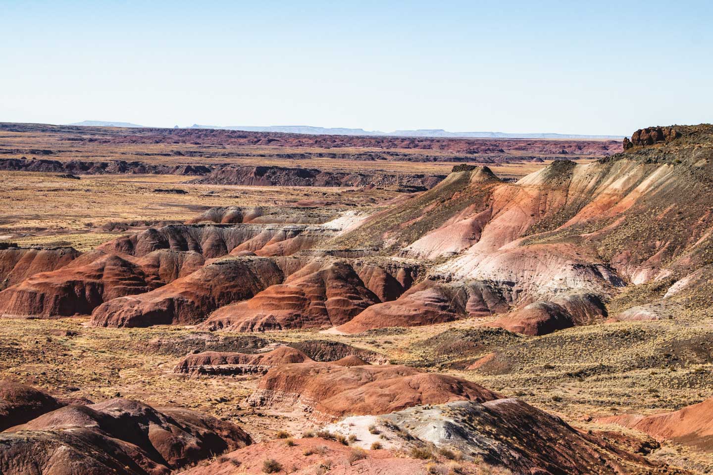 Park Narodowy Skamieniałego Lasu, Arizona