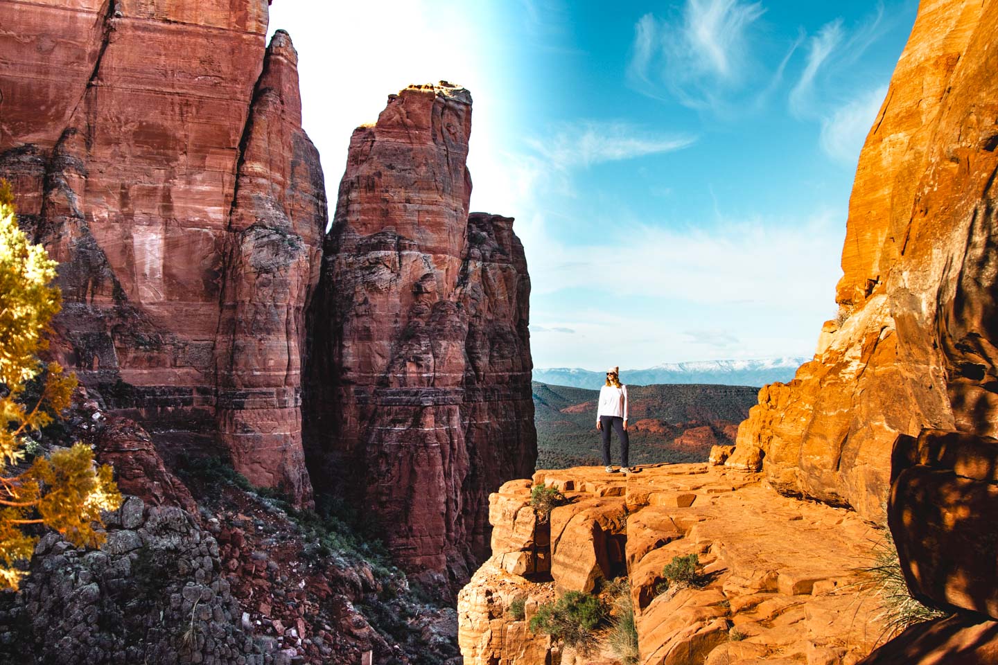 Cathedral Rock, Sedona