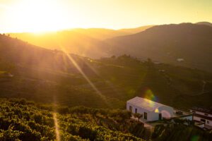 The Ultimate First-Timer’s Travel Guide to Douro Valley, Portugal