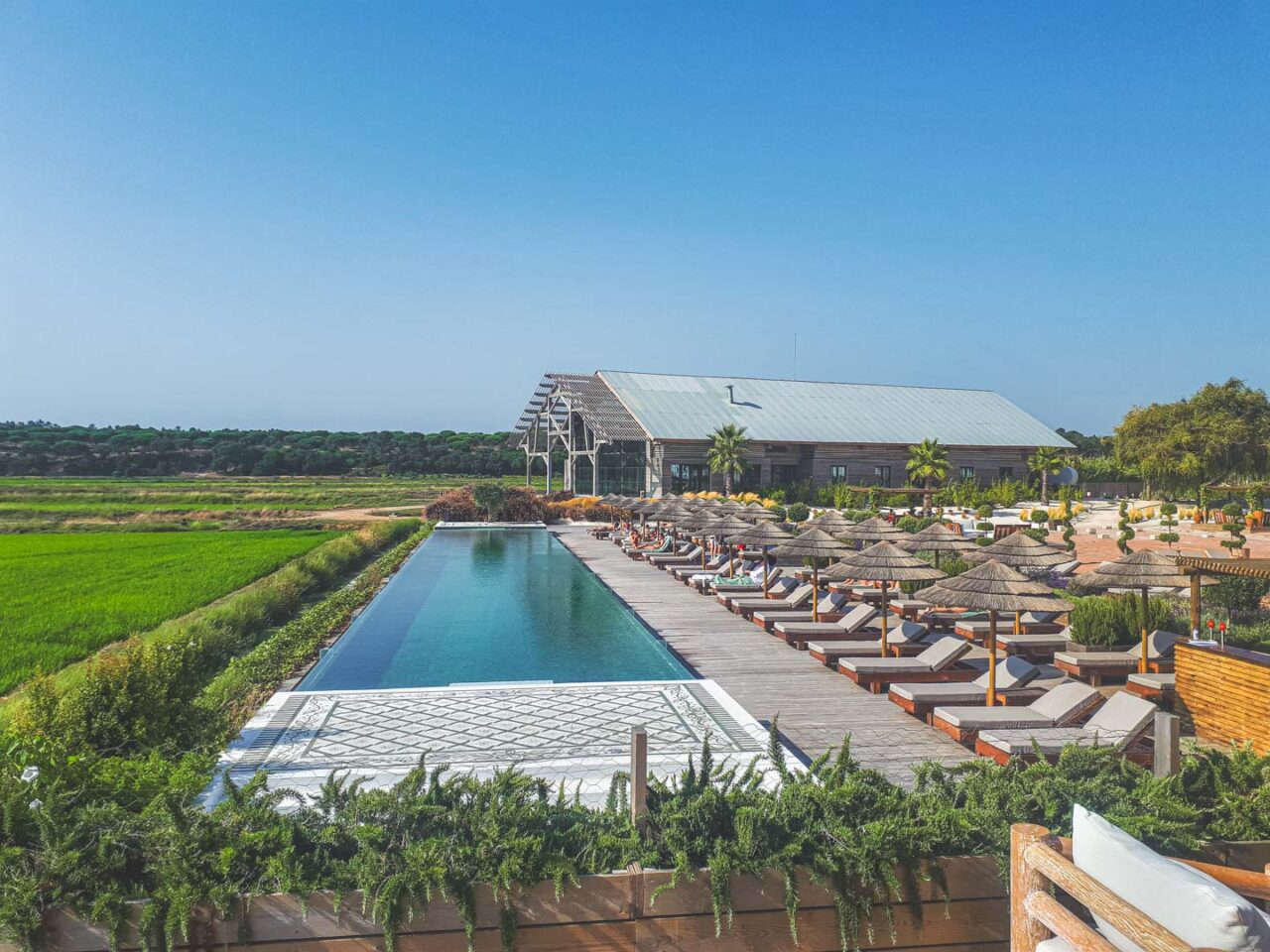 Pool, spa, and greenery - total relaxation