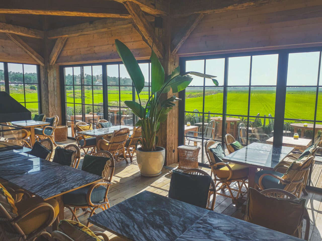 A restaurant that tempts with its vibe and aromas