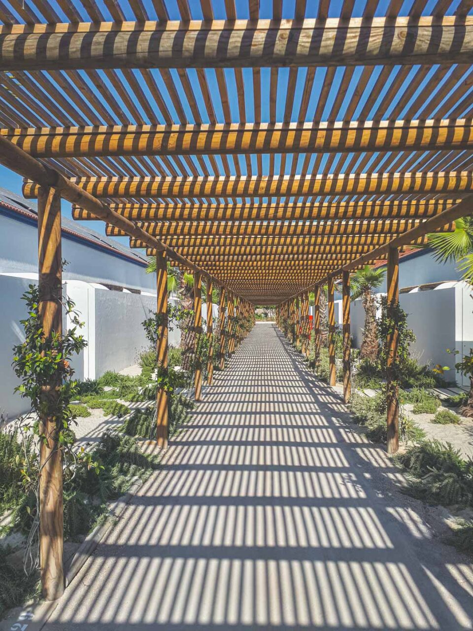 A path of light and shadow that leads straight to peace