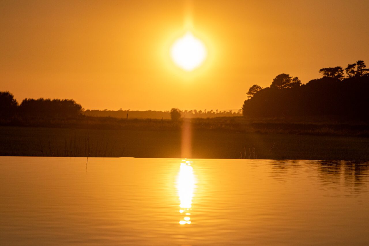 Is Quinta da Comporta Worth Visiting? Honest Wellness Retreat Review