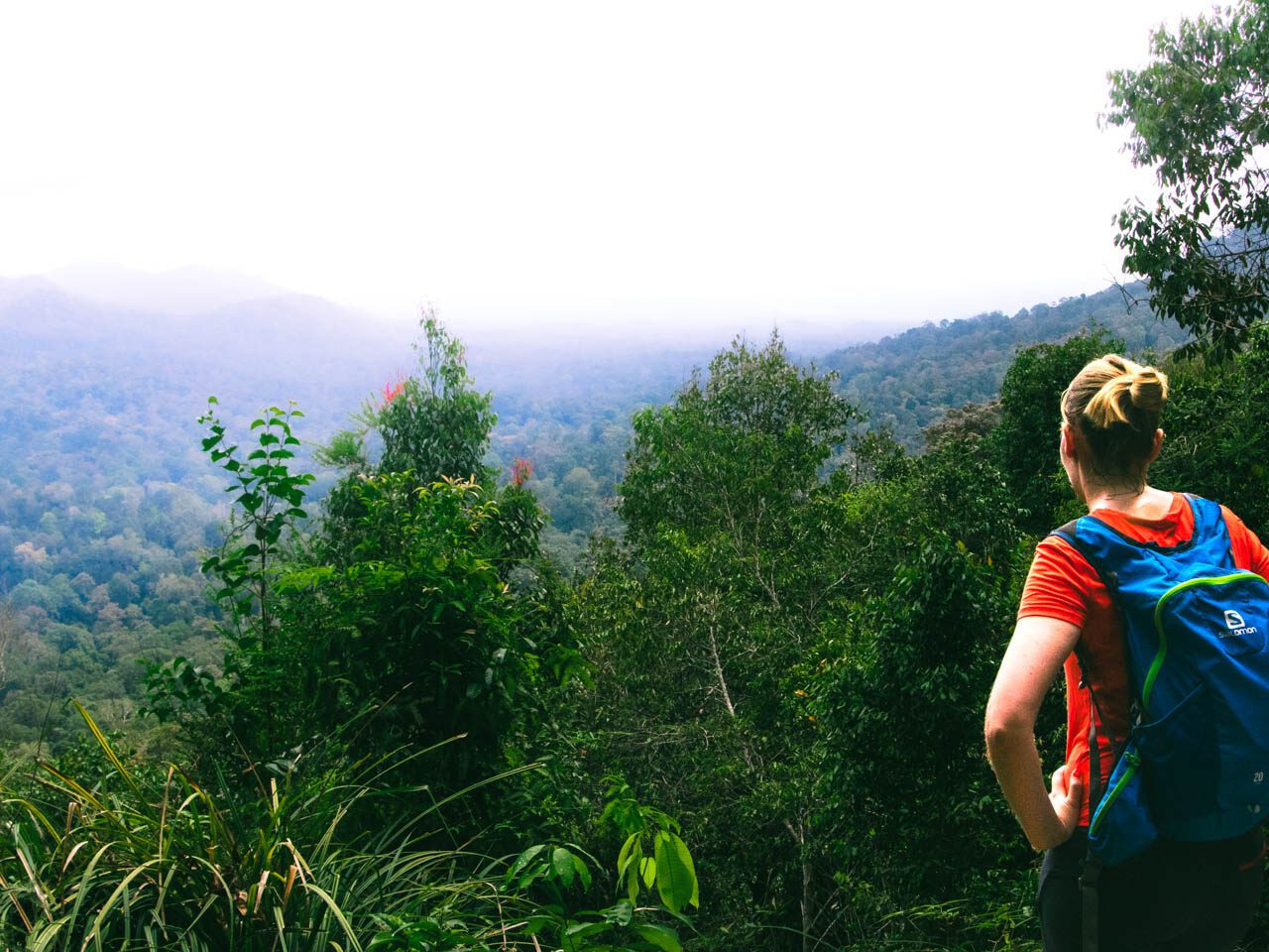 Taman Negara National Park Malaysia
