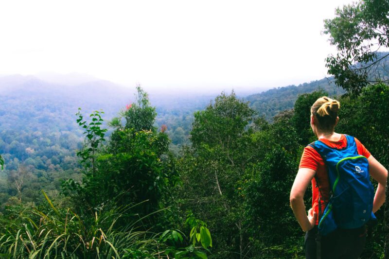 Taman Negara National Park Malaysia