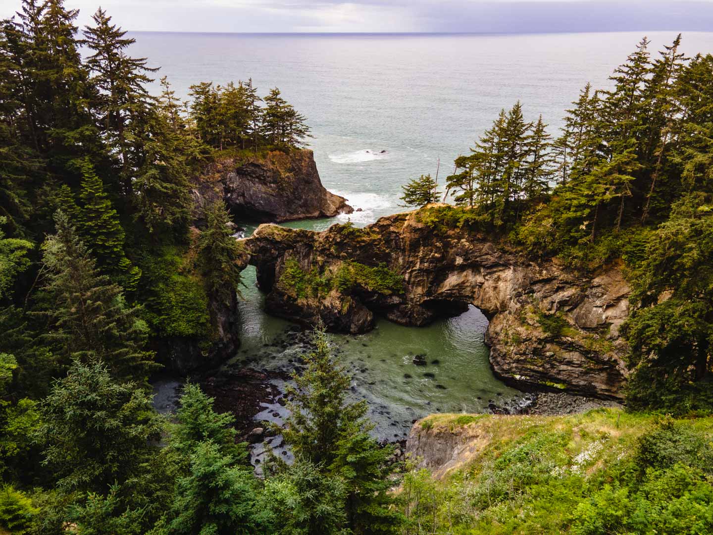 Natural Bridges is a picturesque area with unique rock bridges formed by waves