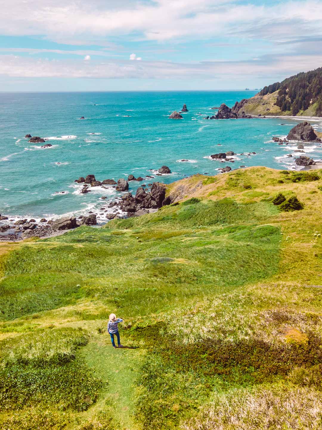 Cape Ferrelo Viewpoint, Oregon Coast