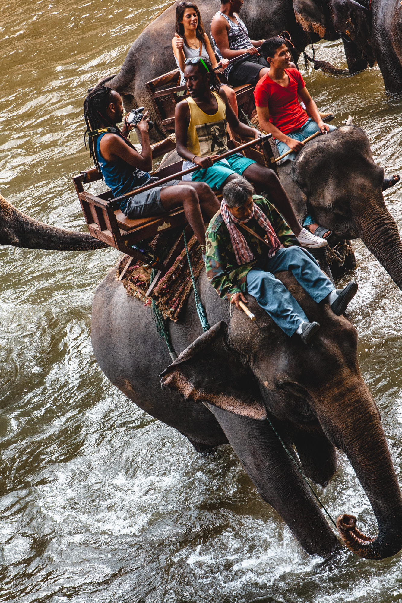 Skip the elephant rides - it's really not as innocent as it looks