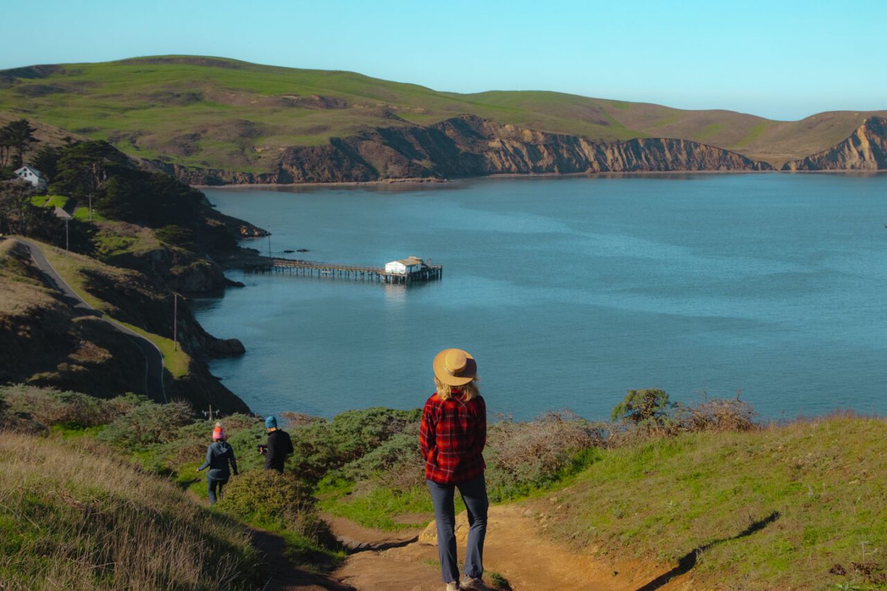 Półwysep Point Reyes jest jednym z najlepszych miejsc do obserwacji mirung