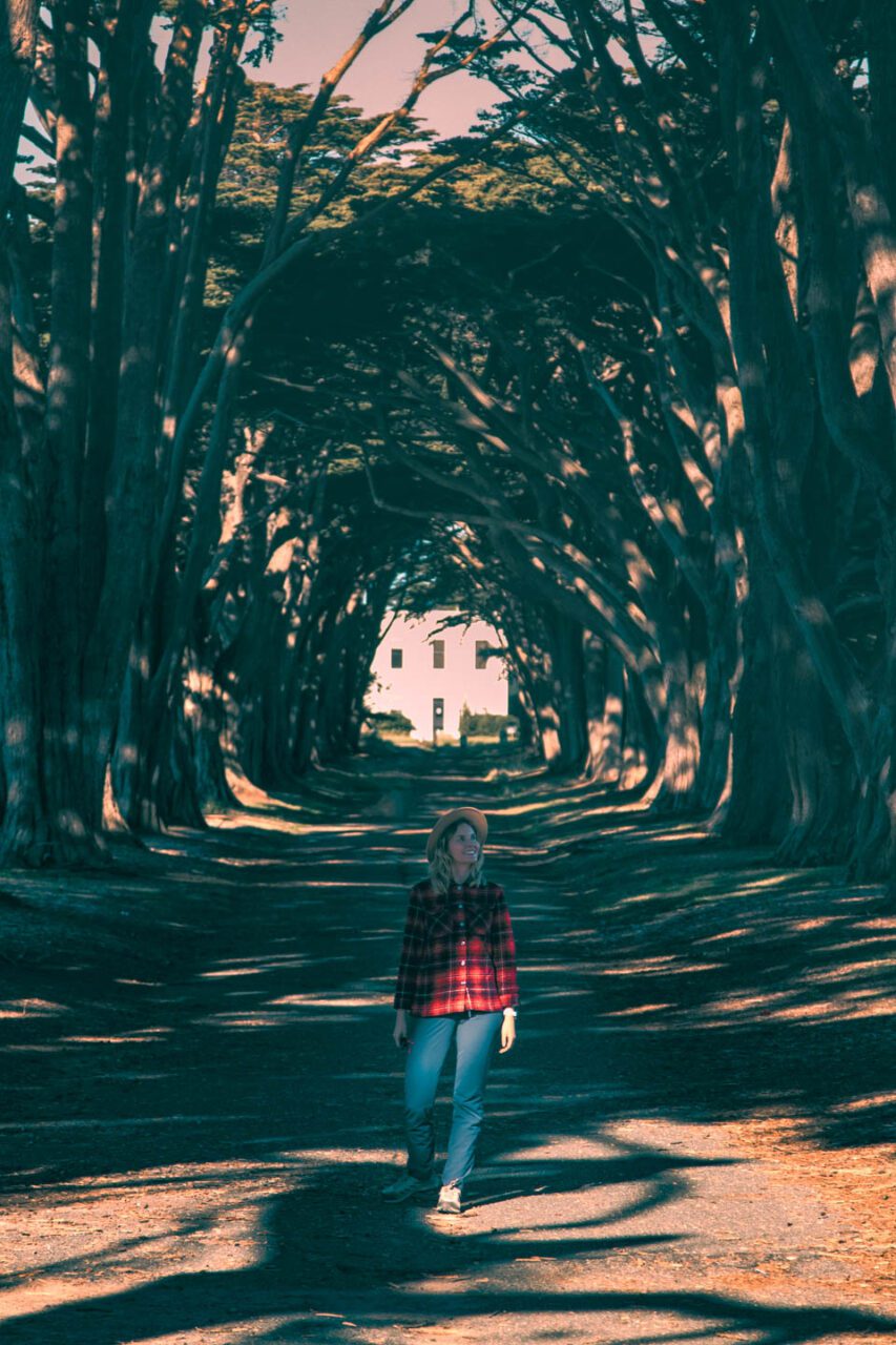 Tunel Cyprysów to doskonałe miejsce na fotkę na Instagrama