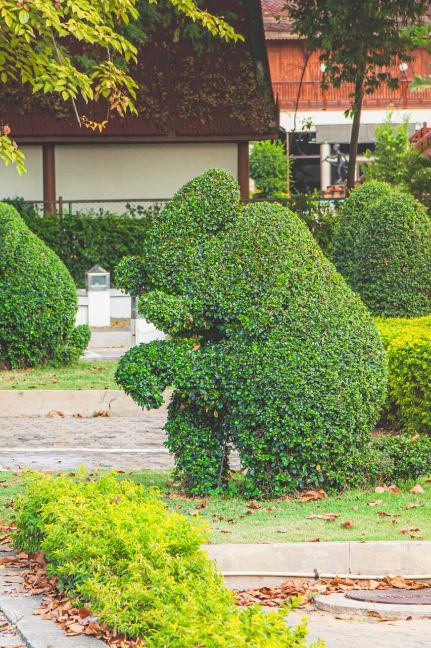 Leafy elephant spotted in Ayutthaya - only in Thailand!