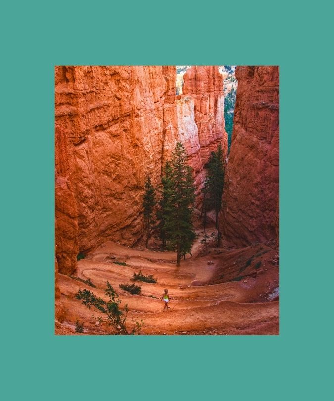 Top US Parks & Natural Wonders