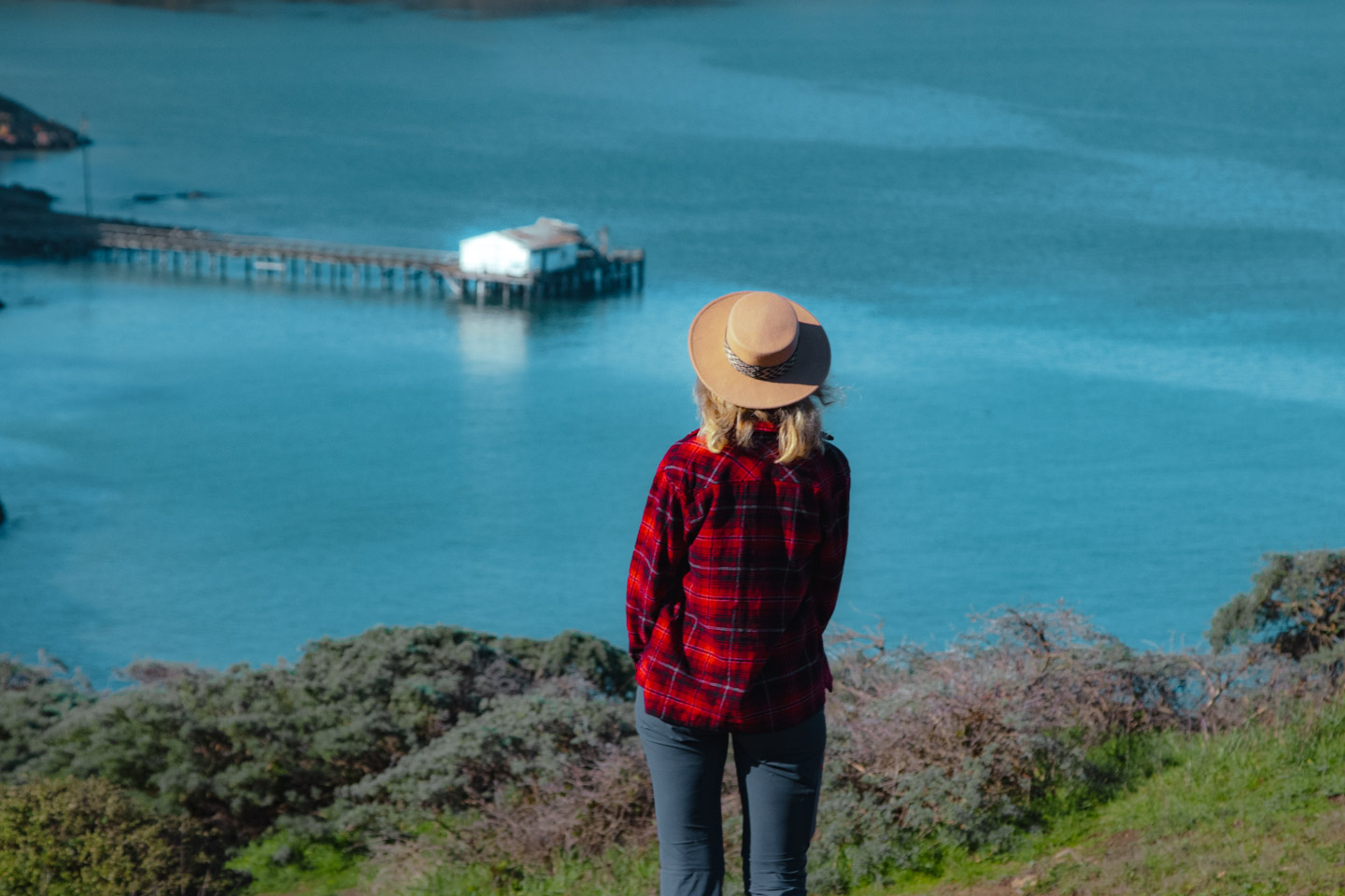 The Point Reyes Peninsula is one of the best places to spot elephant seals