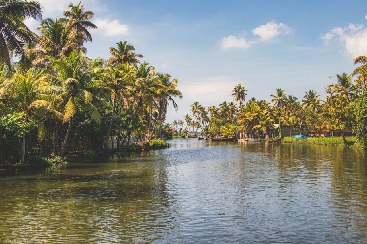 A tropical corridor. Here, life flows together with the water.