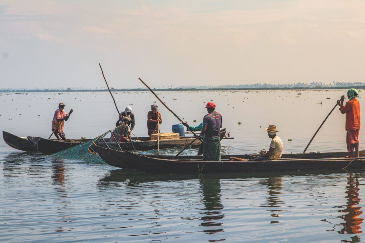 Morning catch. Silence, water, and cooperation.